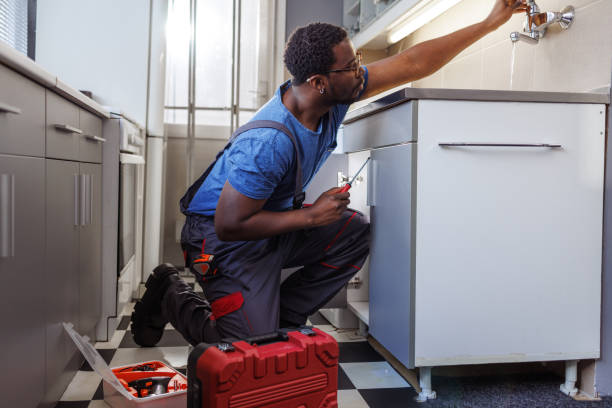 Best Clogged Drain Plumber  in Highland, IN